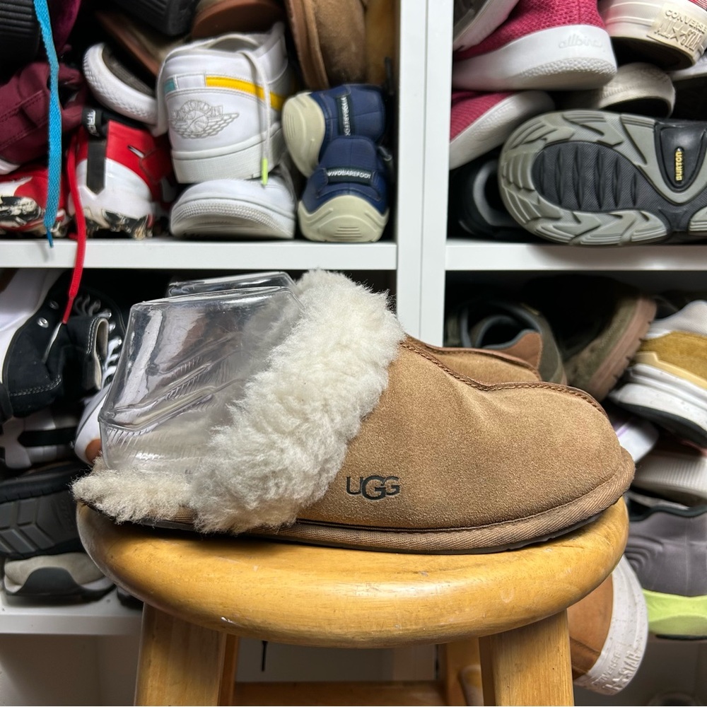 Ugg scuffette chestnut slippers